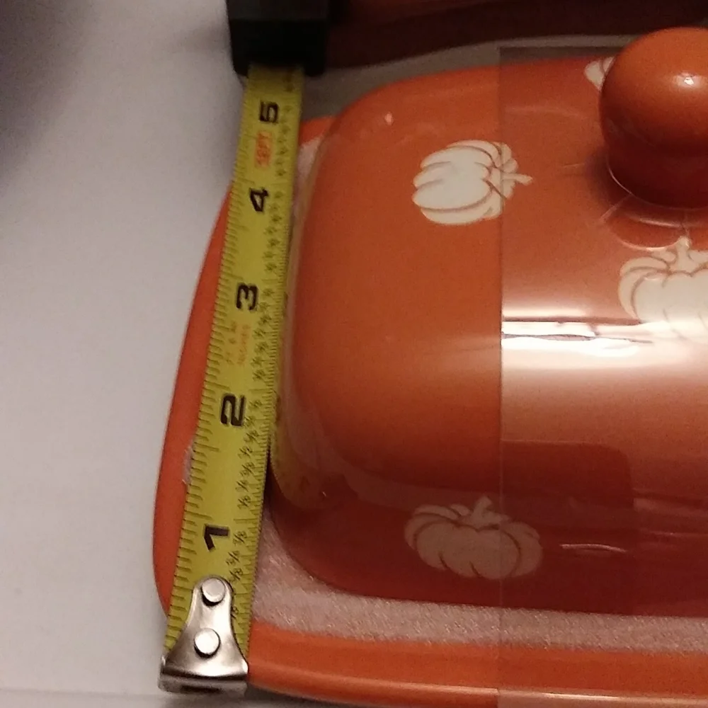 NWT Terramoto Harvest Fall Butter Dish